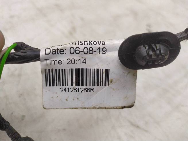  241261266R