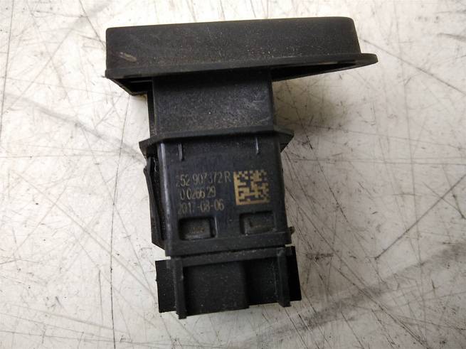  252907372R