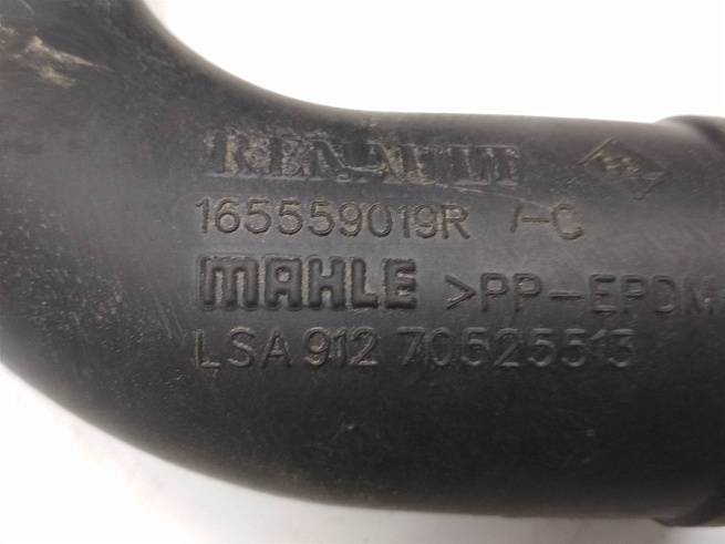  165559019R