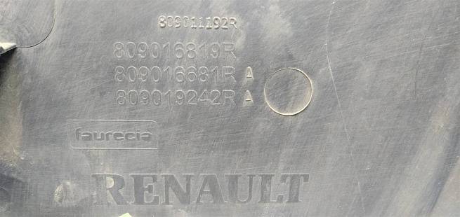  809016819R