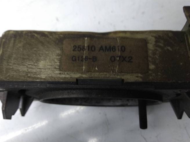 25810AM610