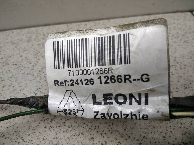  241261266R