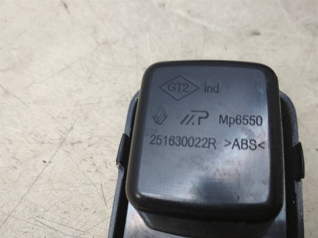  251630066R
