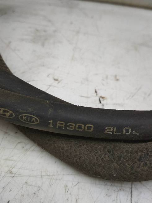  597701R300