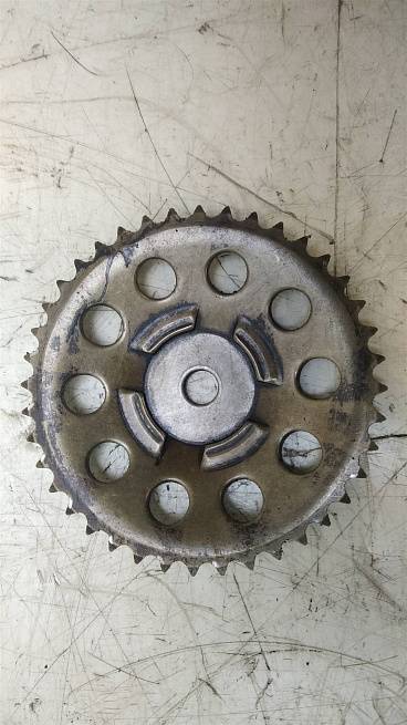  55353162