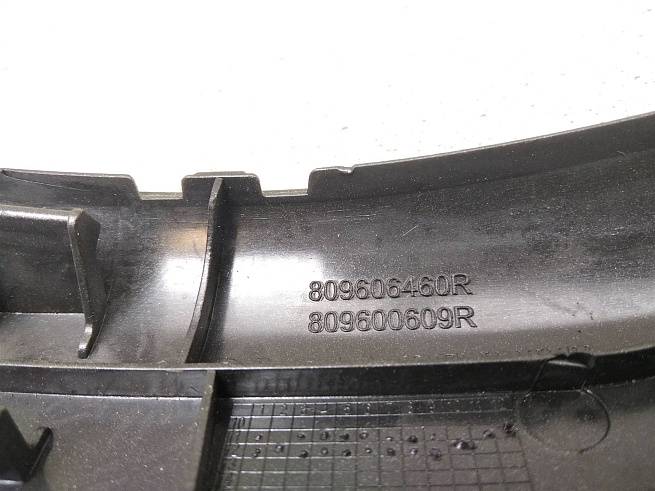  809606460R