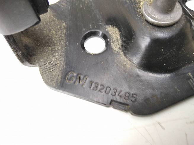  13203495