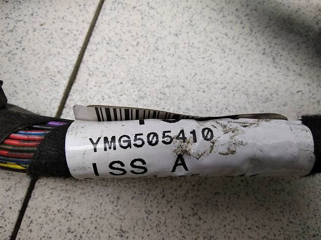  YMG505410