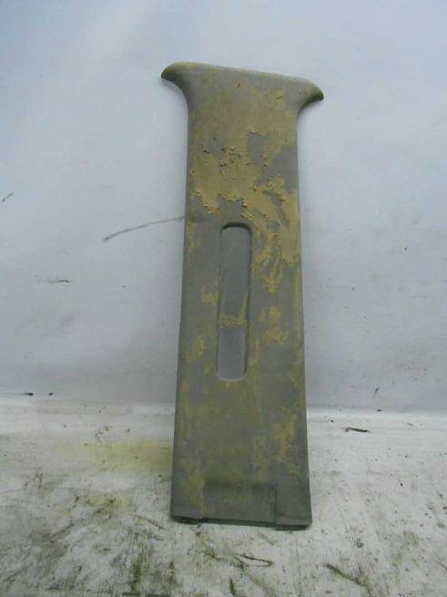 MN123869 MN123869