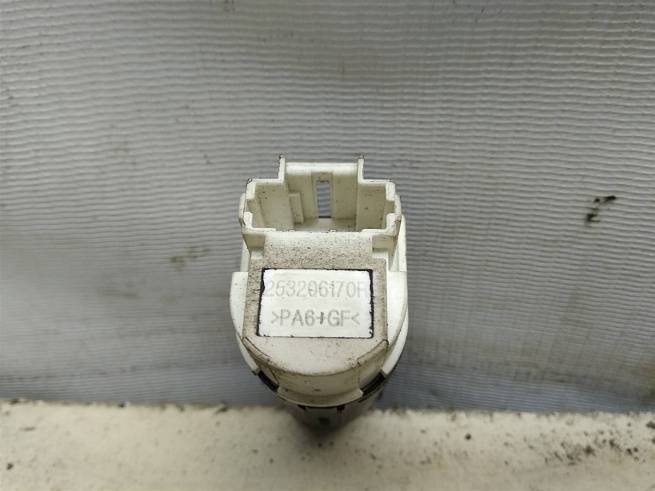  253206170r