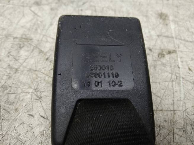  106800111900669