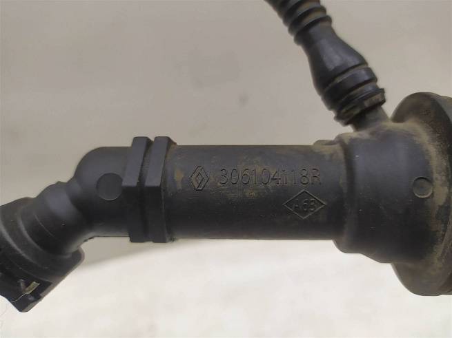  306104118R