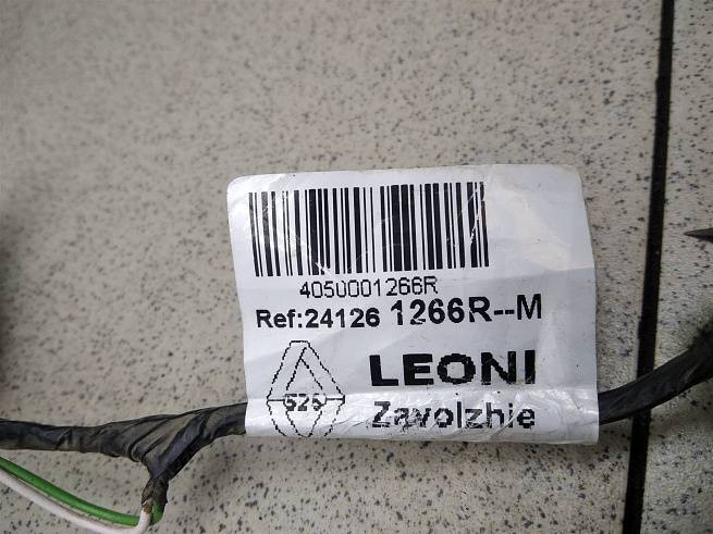  241261266R